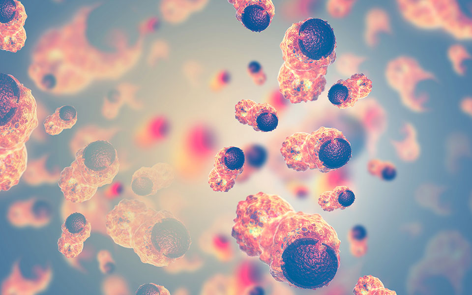 το-γονιδίωμα-οι-μεταλλαγές-και-ο-καρκί-561728311