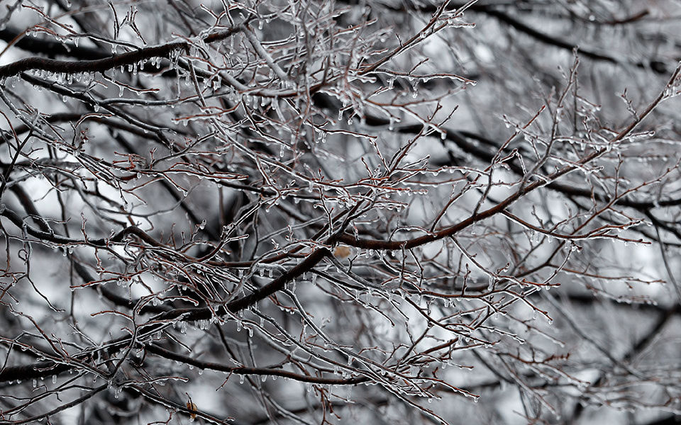 παγετός-με-θερμοκρασίες-έως-11-βαθμούς-561705430