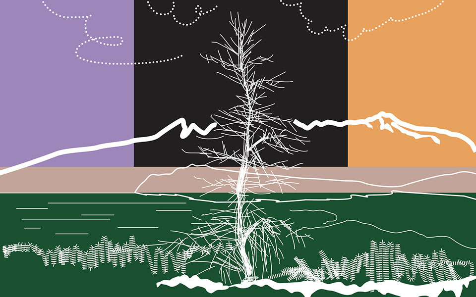 το-φεστιβάλ-κινηματογράφου-στην-εύβο-561731083