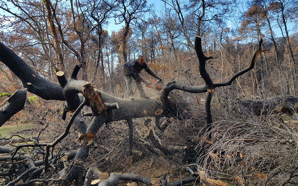 δήμος-αγίας-παρασκευής-οι-δύο-προϋποθ-561701563