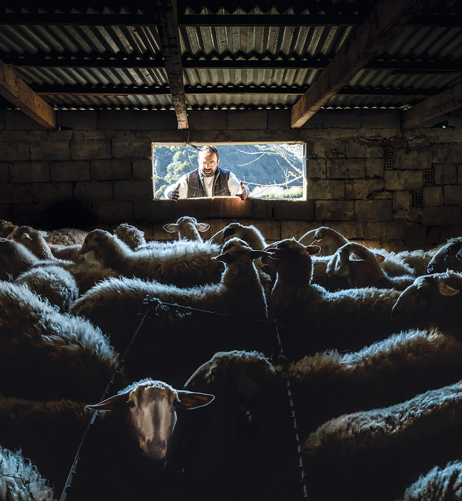 Αράχωβα: Φύγαμε για σαββατοκύριακο στον Παρνασσό-7