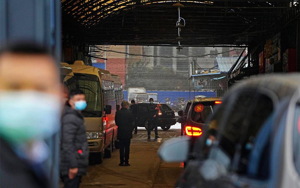 Προέλευση κορωνοϊού: Δύο νέες μελέτες ρίχνουν φως στο μυστήριο-2