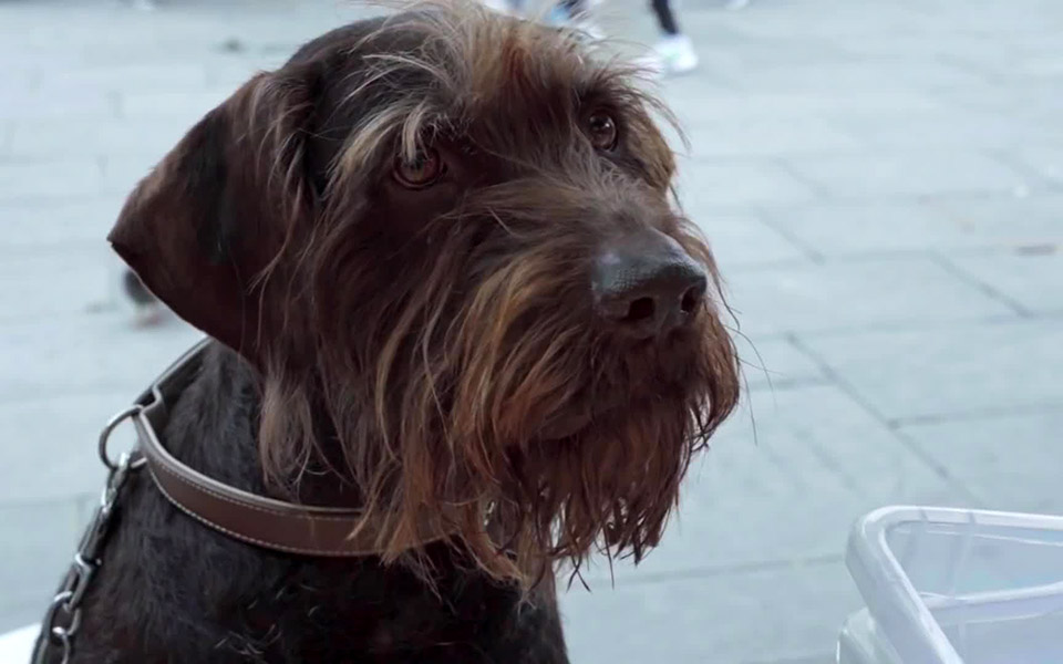 ντοκιμαντέρ-για-τους-άστεγους-σε-πόλε-561702847