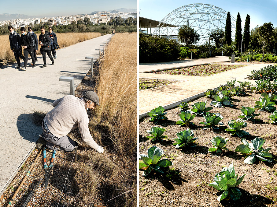Πέντε χρόνια Πάρκο Σταύρος Νιάρχος: Αγωνία για το αύριο-4