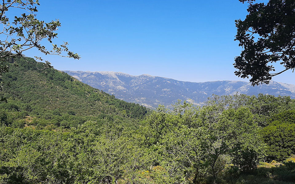 Πάμε στον Σελλά για πεζοπορία;-1