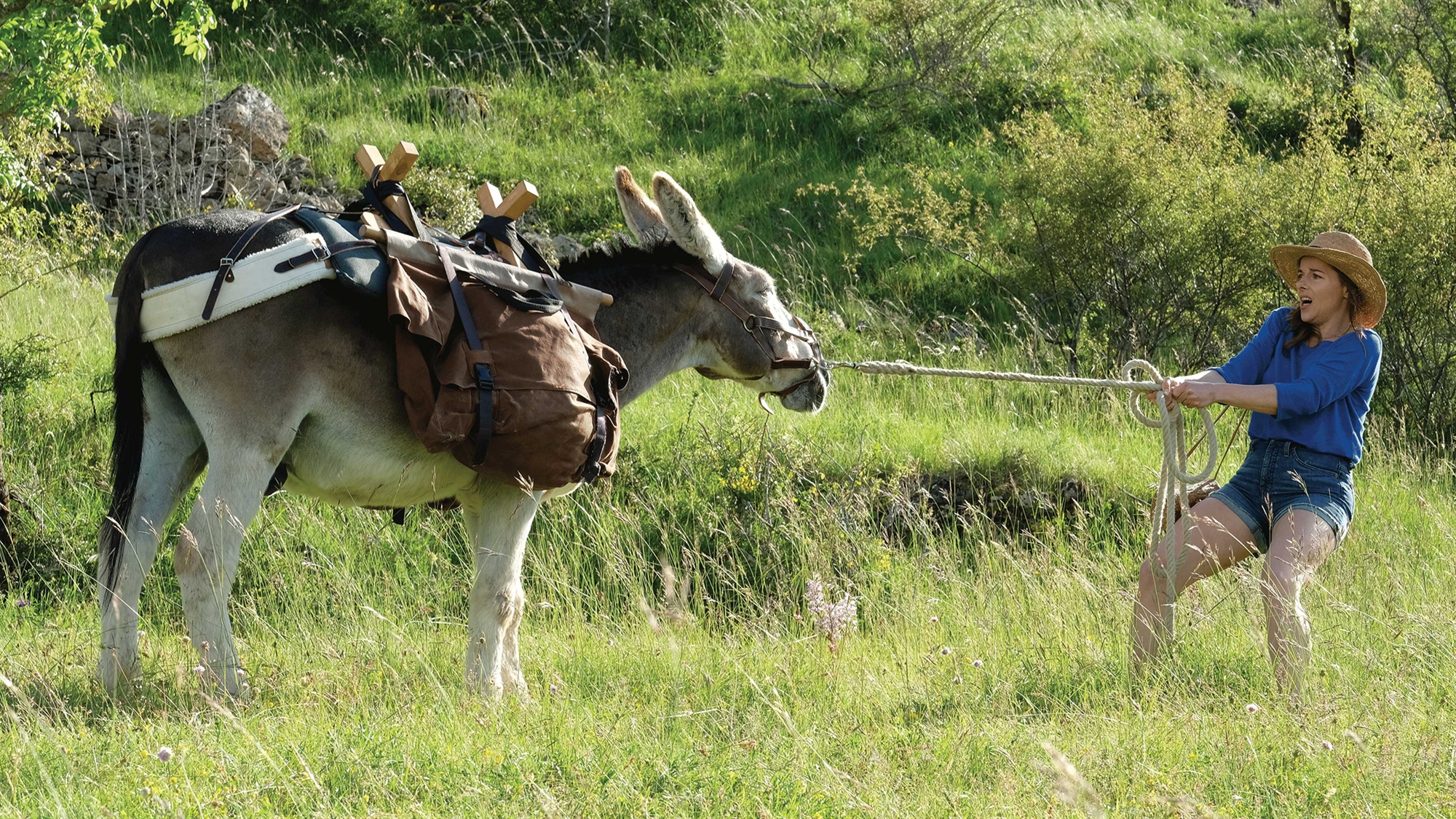 Ξανά στις αίθουσες η γαλλοφωνία-2