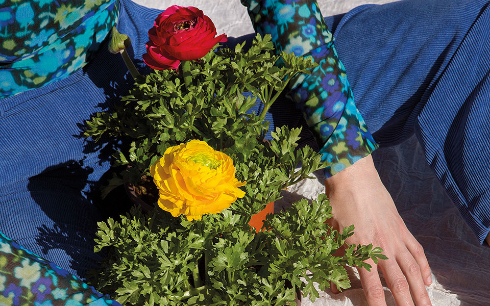 νεραγκούλα-ενα-φυτό-που-η-ομορφιά-του-561746413