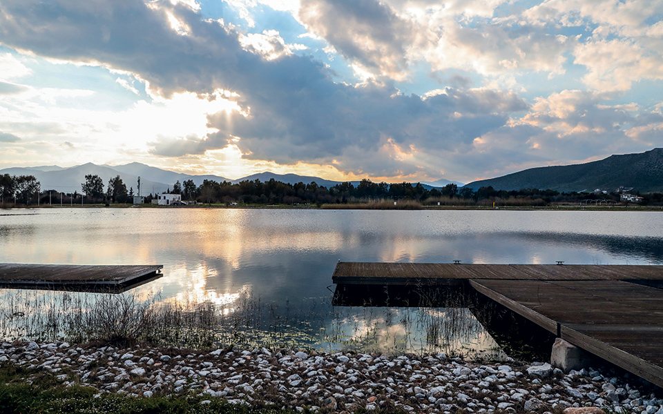 Σχινιάς: Το κωπηλατοδρόμιο έγινε όαση-1