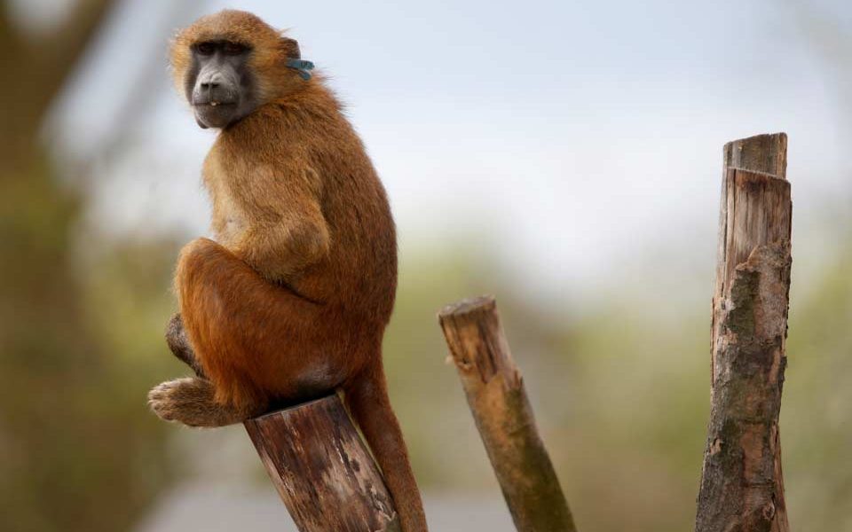 η-γεωμετρία-κάνει-τους-ανθρώπους-να-ξε-561780754