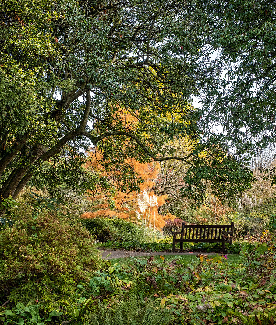 Bath: Η διαχρονική κομψότητα που γοητεύει-2