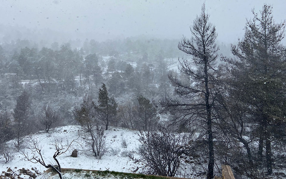 κακοκαιρία-φίλιππος-απαγόρευση-κυκλ-561754108