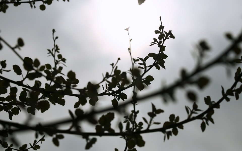 καιρός-αύριο-τοπικές-βροχές-και-καται-561787378