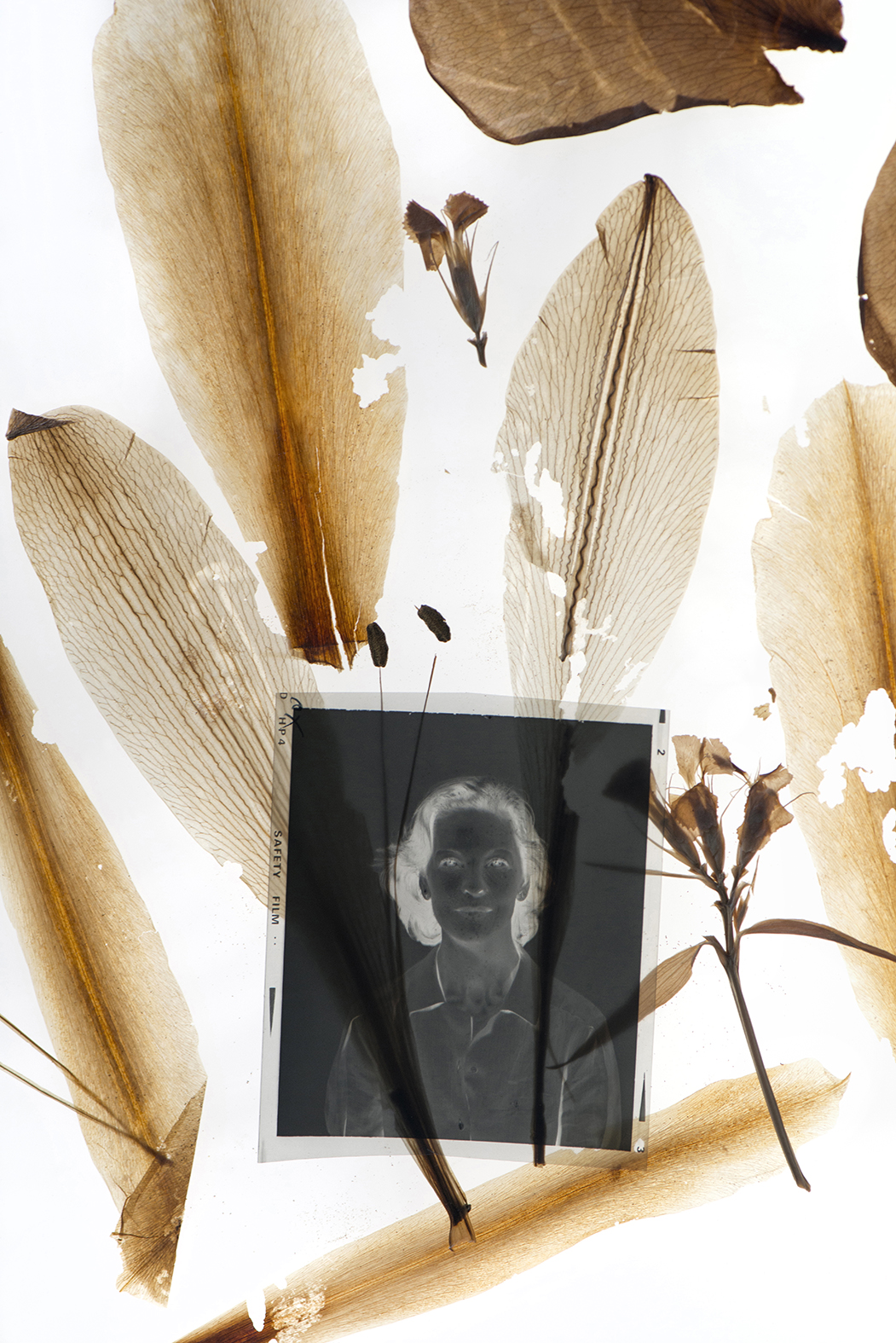 Τα πορτρέτα της απώλειας-2