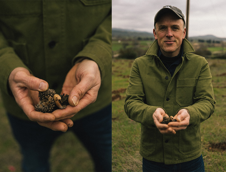 Αναδάσωση στα Οινόφυτα από την Breitling και την οικολογική οργάνωση SUGi-4