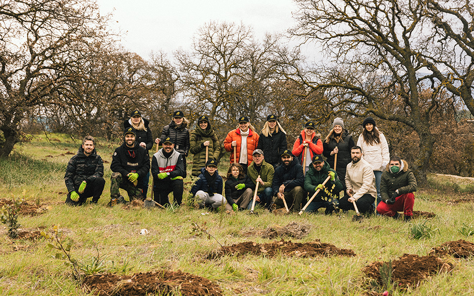 αναδάσωση-στα-οινόφυτα-από-την-breitling-και-τ-561777946