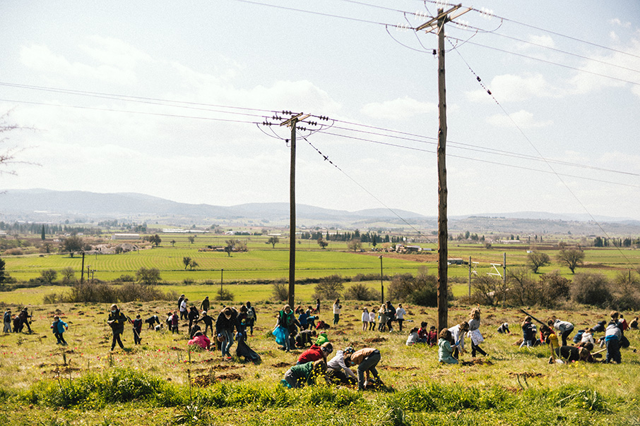 Αναδάσωση στα Οινόφυτα από την Breitling και την οικολογική οργάνωση SUGi-1