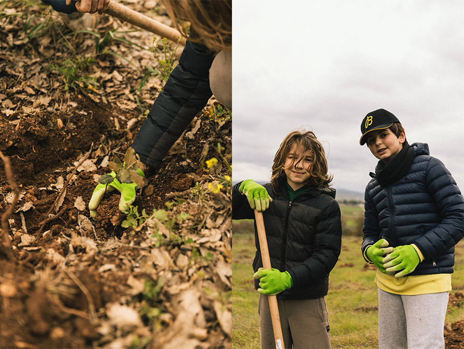 Αναδάσωση στα Οινόφυτα από την Breitling και την οικολογική οργάνωση SUGi-2