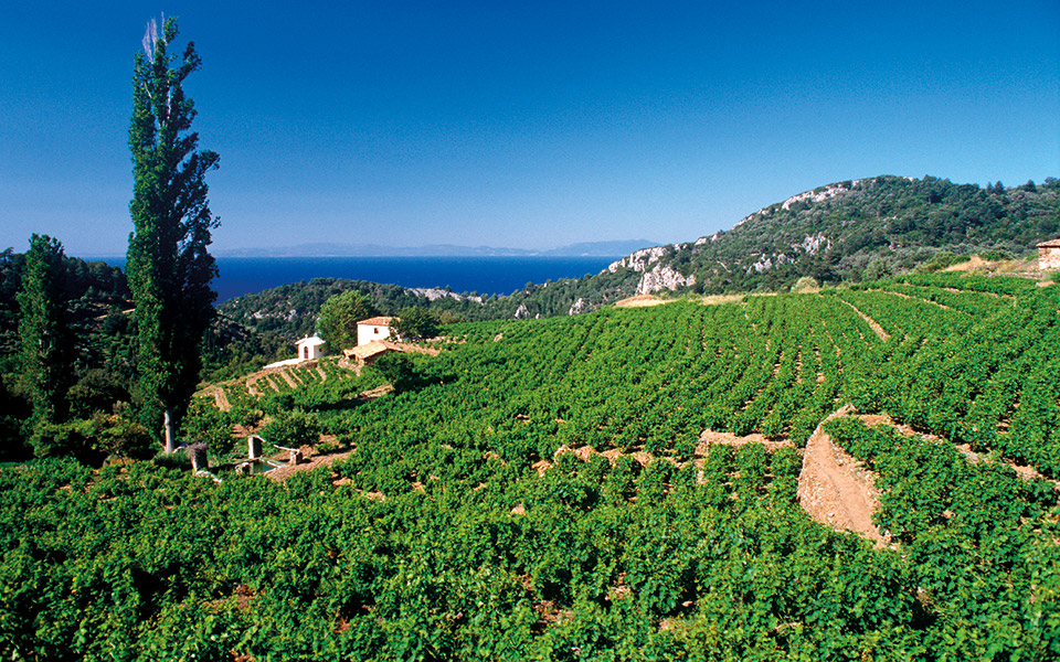 στη-σάμο-των-αμπελιών-561746386