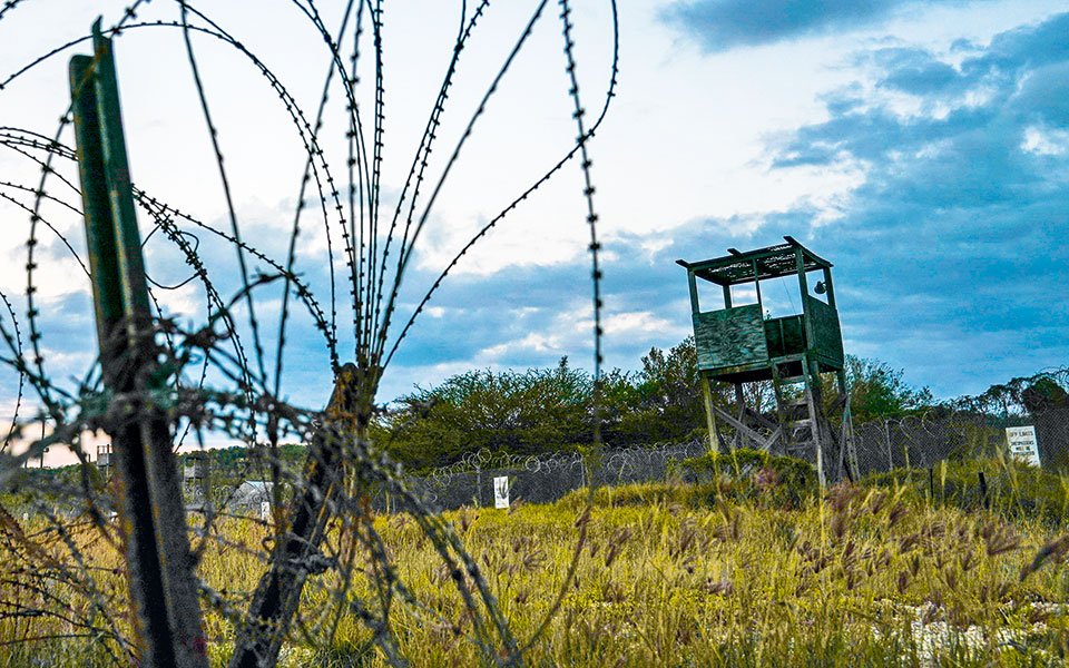 σε-ψυχιατρείο-έπειτα-από-20-έτη-στο-γκου-561753883