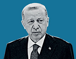 Ταγίπ Ερντογάν: Πλέγματα-1