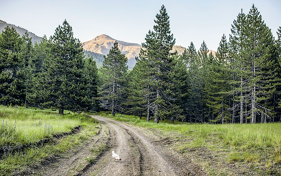αντιδράσεις-για-την-κατάργηση-των-δ-561774019