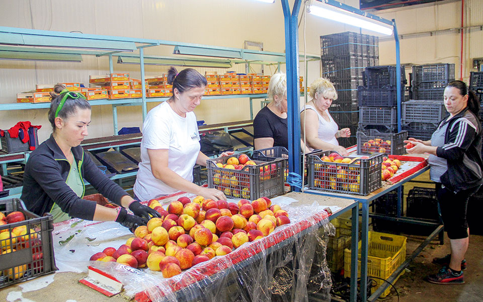 αγρότες-δεν-σπέρνουν-τα-χωράφια-λόγω-α-561780418