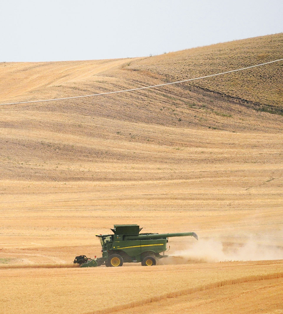 Εφιάλτης παγκόσμιας επισιτιστικής κρίσης-2