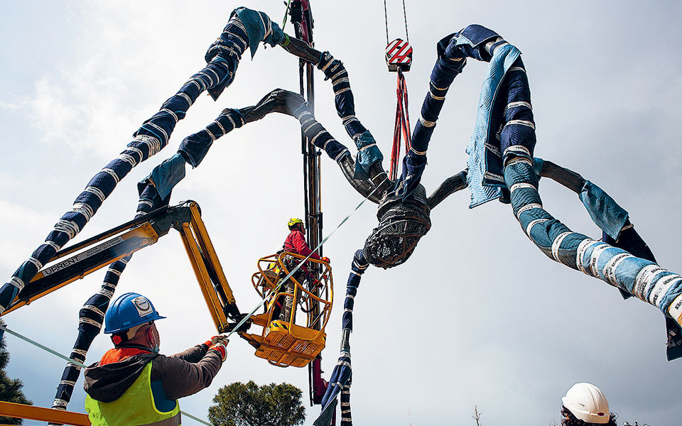 μια-διάσημη-αράχνη-στο-πάρκο-σταύρος-561783463