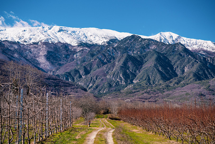 Βόρας-Λουτρά Πόζαρ: Και σκι, και θερμές πηγές-6