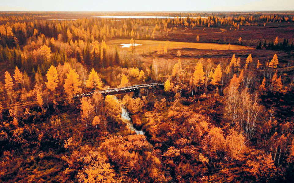 τι-απομένει-απ-τη-φωτιά-ένα-βιβλίο-561774100