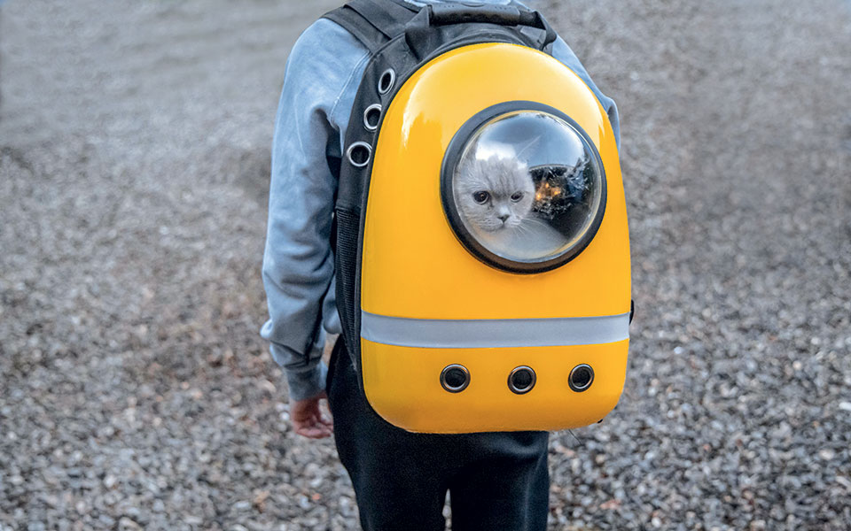 έχω-σκύλο-θέλω-να-πάρω-το-μετρό-μπορώ-561746401