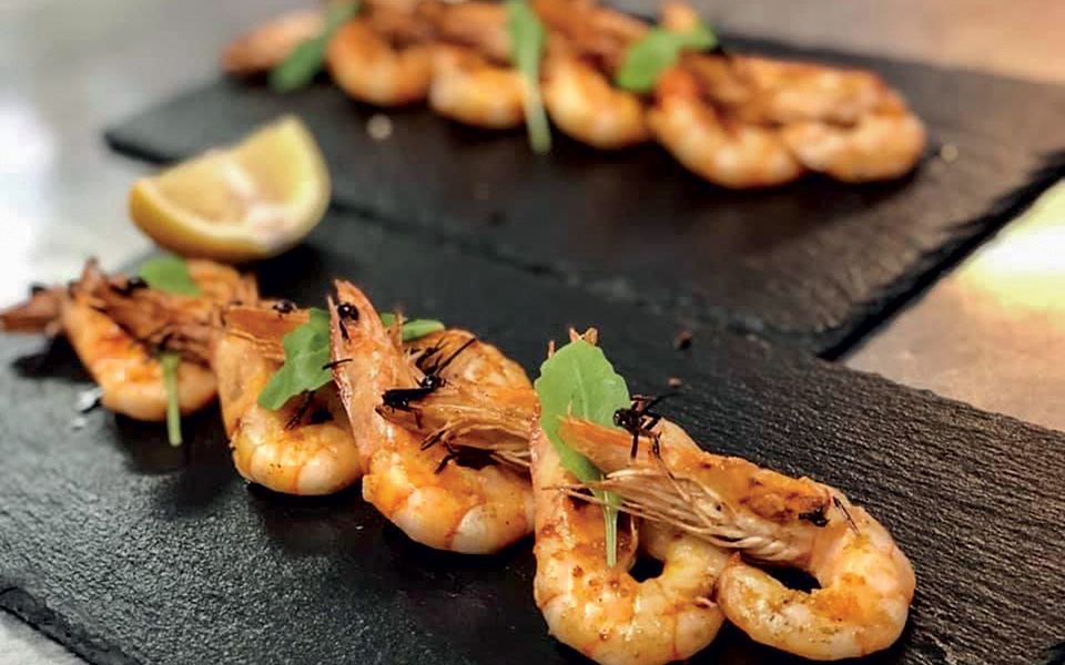 «Αλάτι»: Η καλύτερη γαστρονομική αφορμή για εκδρομή στη Χαλκίδα-1