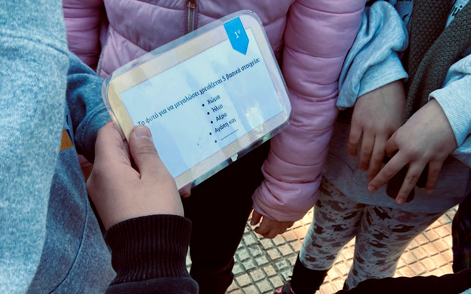 η-sunlight-group-πραγματοποιεί-δενδροφυτεύσεις-σ-561787057