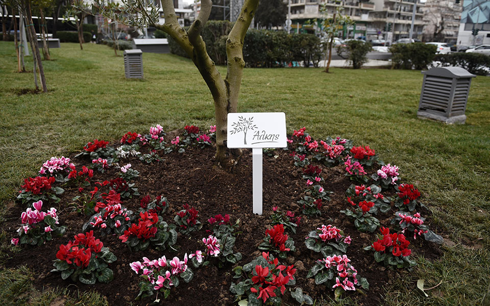 θεσσαλονίκη-αφαίρεσαν-τις-ταμπέλες-μ-561757936