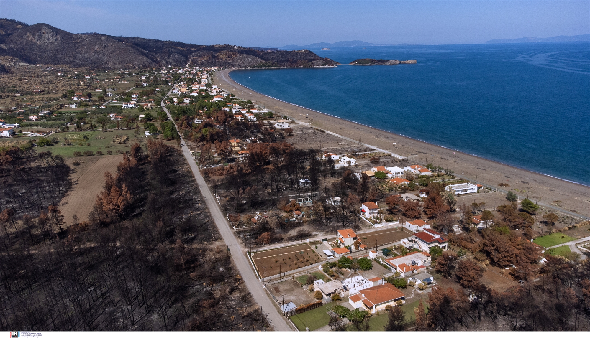 κυβέρνηση-πρόγραμμα-δρυάδες-για-να-561774865