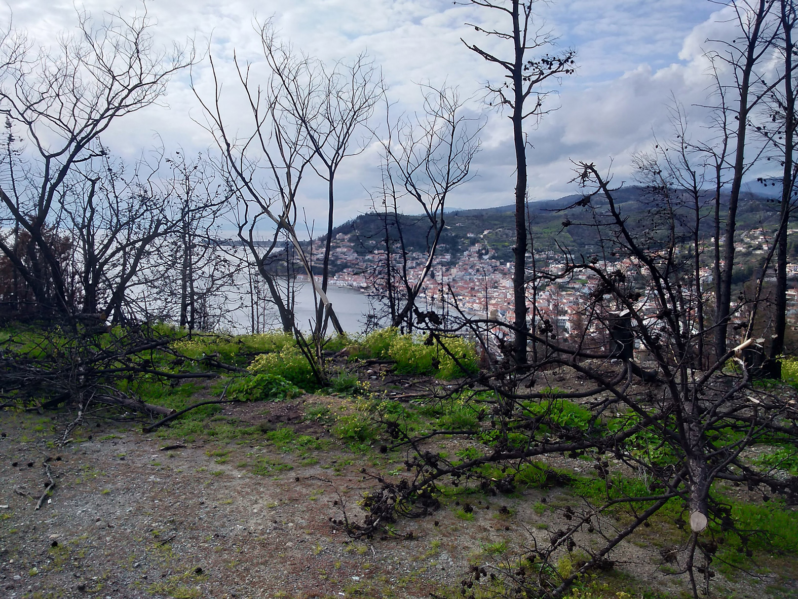 το-σύνθετο-στοίχημα-αναγέννησης-τη-561779578