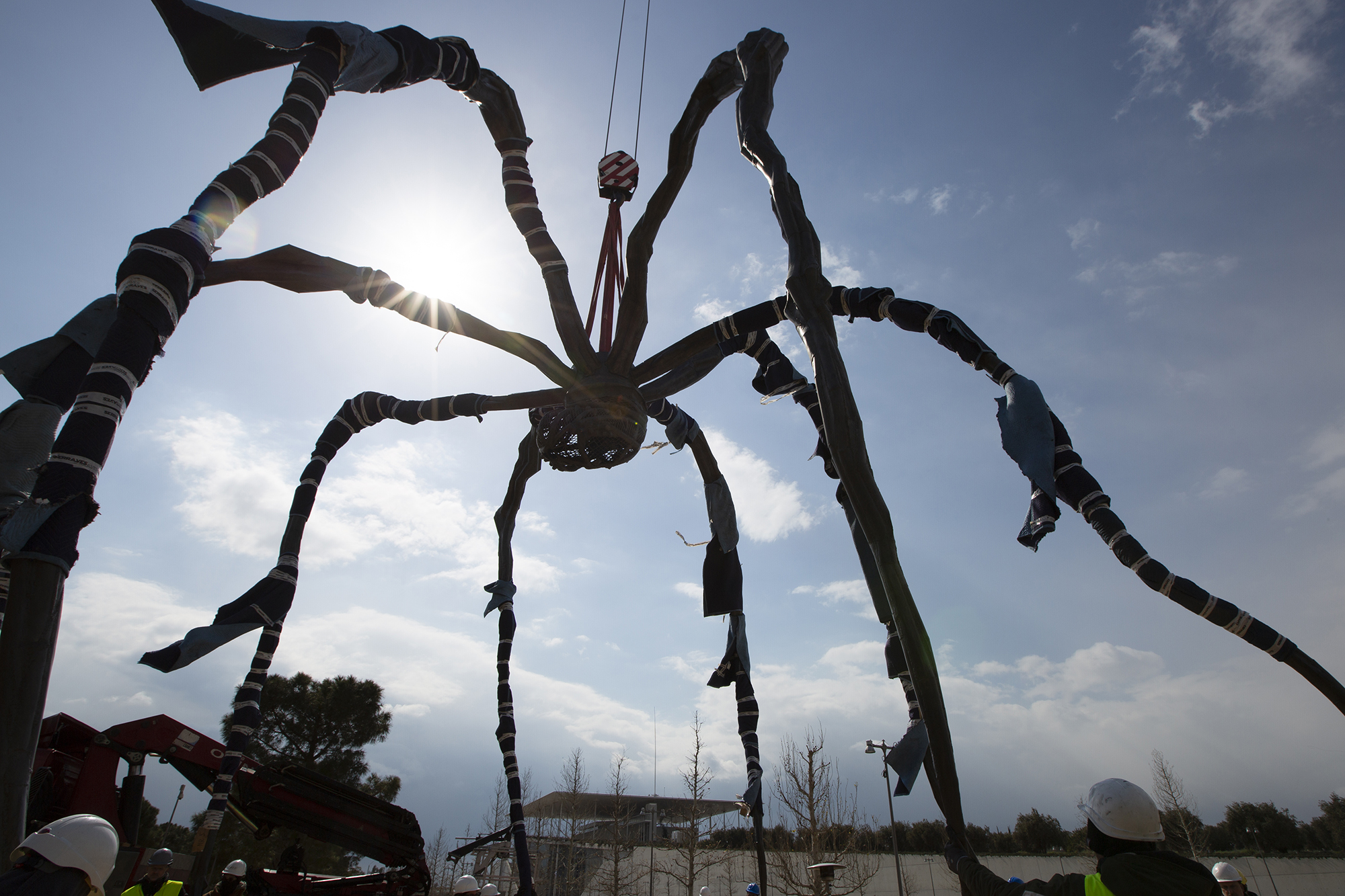 Μια διάσημη αράχνη στο πάρκο «Σταύρος Νιάρχος»-1