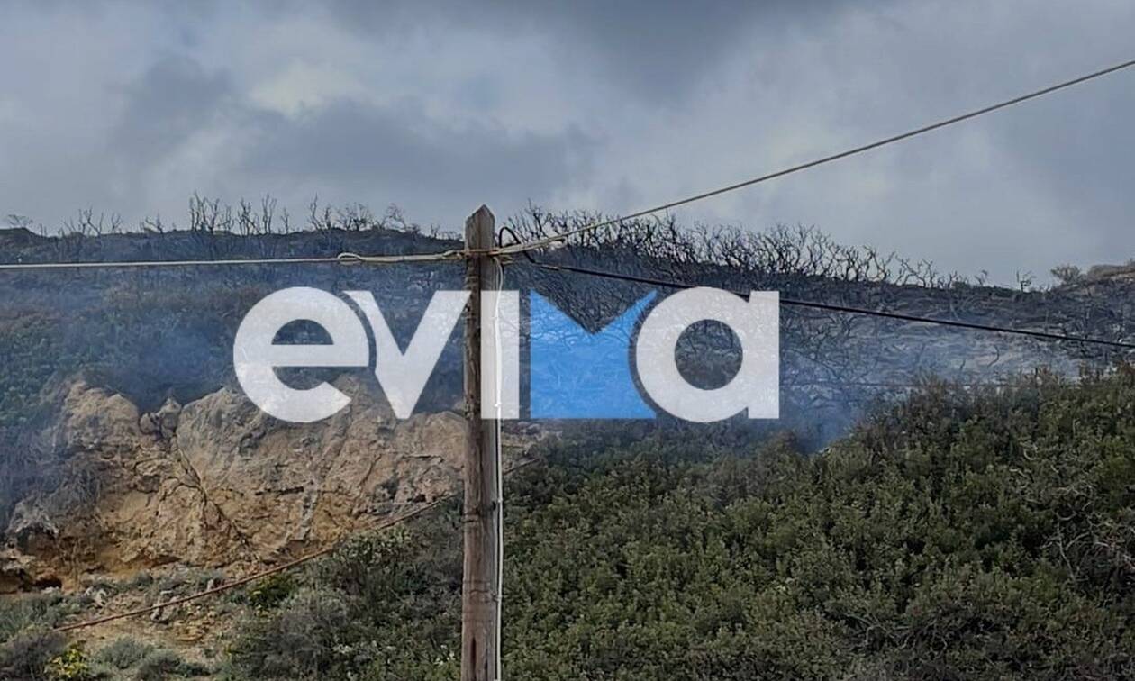 Σκύρος: Μεγάλη φωτιά σε δασική έκταση στην περιοχή «Λινό» (εικόνες)-1