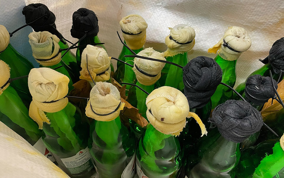 στα-χέρια-της-ελ-ασ-δύο-16χρονοι-για-κατο-561778249