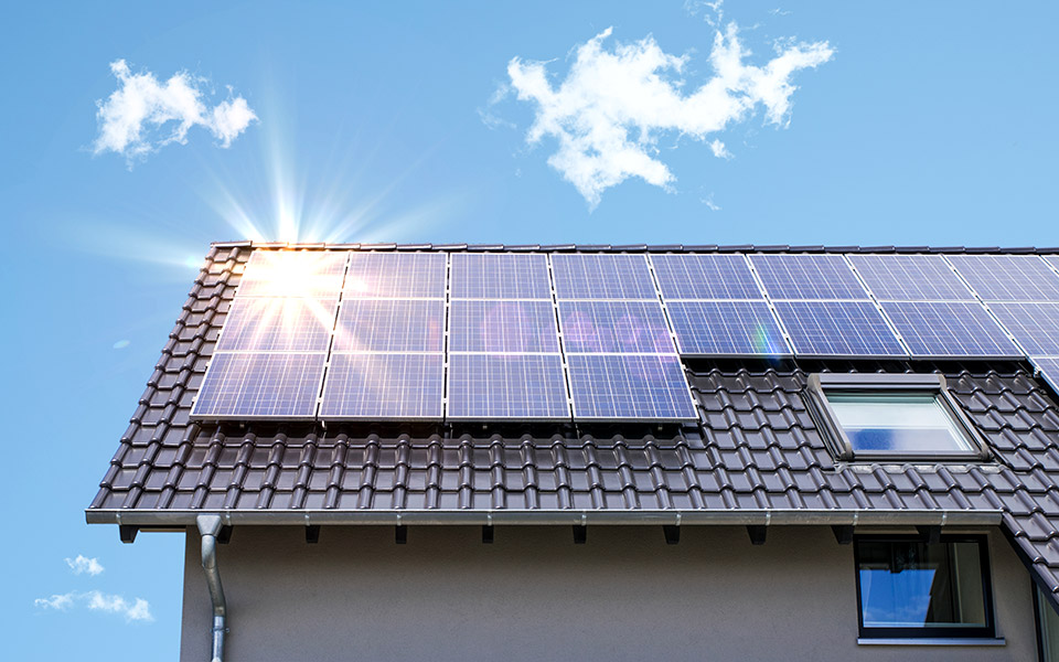 όλα-όσα-χρειάζεται-να-γνωρίζετε-για-το-561756025