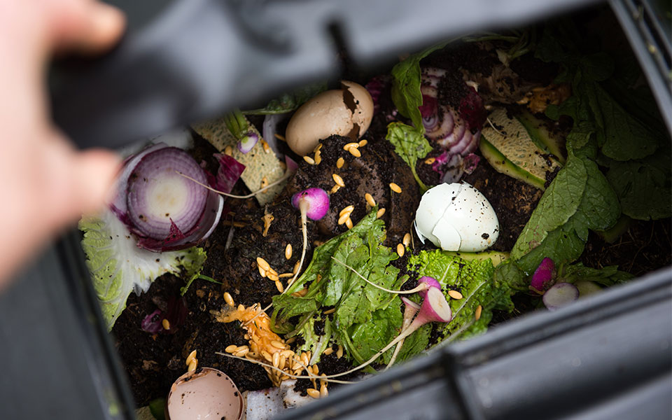 Τι είναι το greenwashing και πώς θα το αποφύγουμε;-2