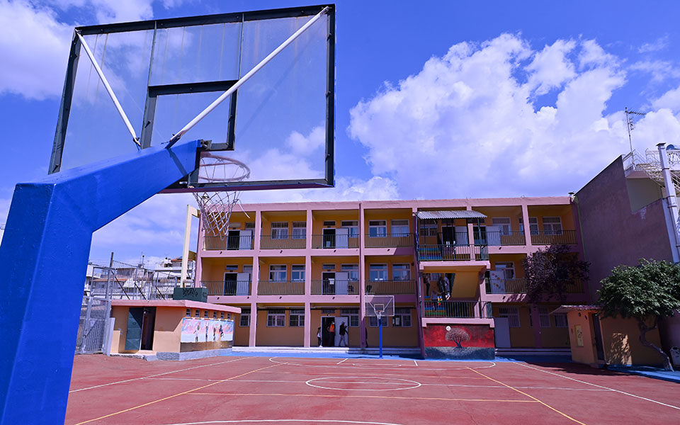 γέρακας-μαθητής-πήγε-με-αεροβόλο-στο-σ-561777214