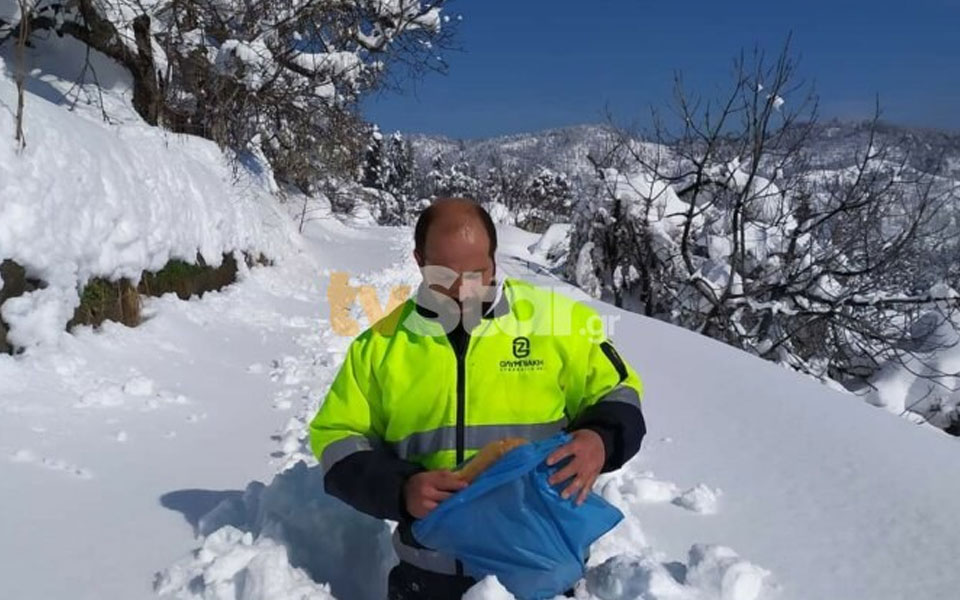 β-εύβοια-δεν-φαίνονται-από-το-χιόνι-οι-561760687