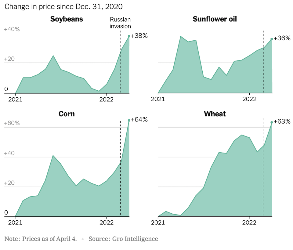 Ουκρανία: Ο πόλεμος του Πούτιν προκαλεί παγκόσμια επισιτιστική κρίση-1