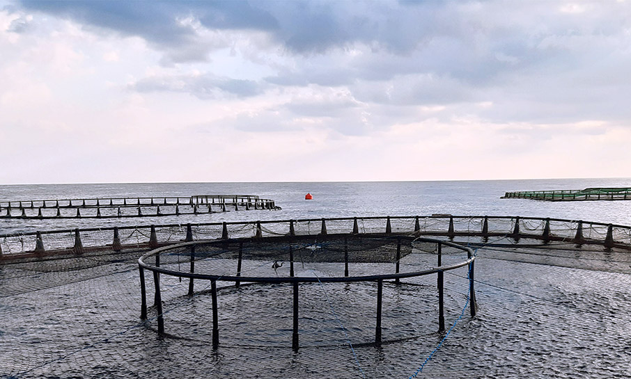 2ο Συνέδριο για την Ελληνική Ιχθυοκαλλιέργεια-1