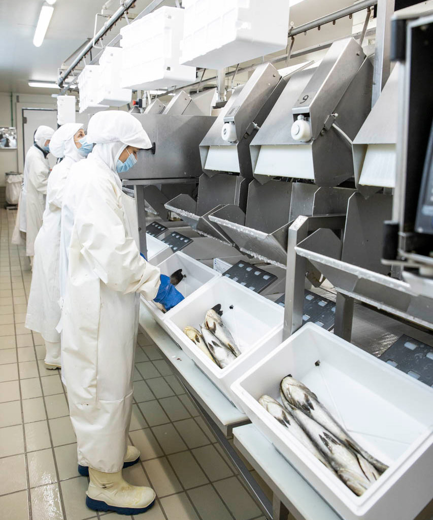 2ο Συνέδριο για την Ελληνική Ιχθυοκαλλιέργεια-2