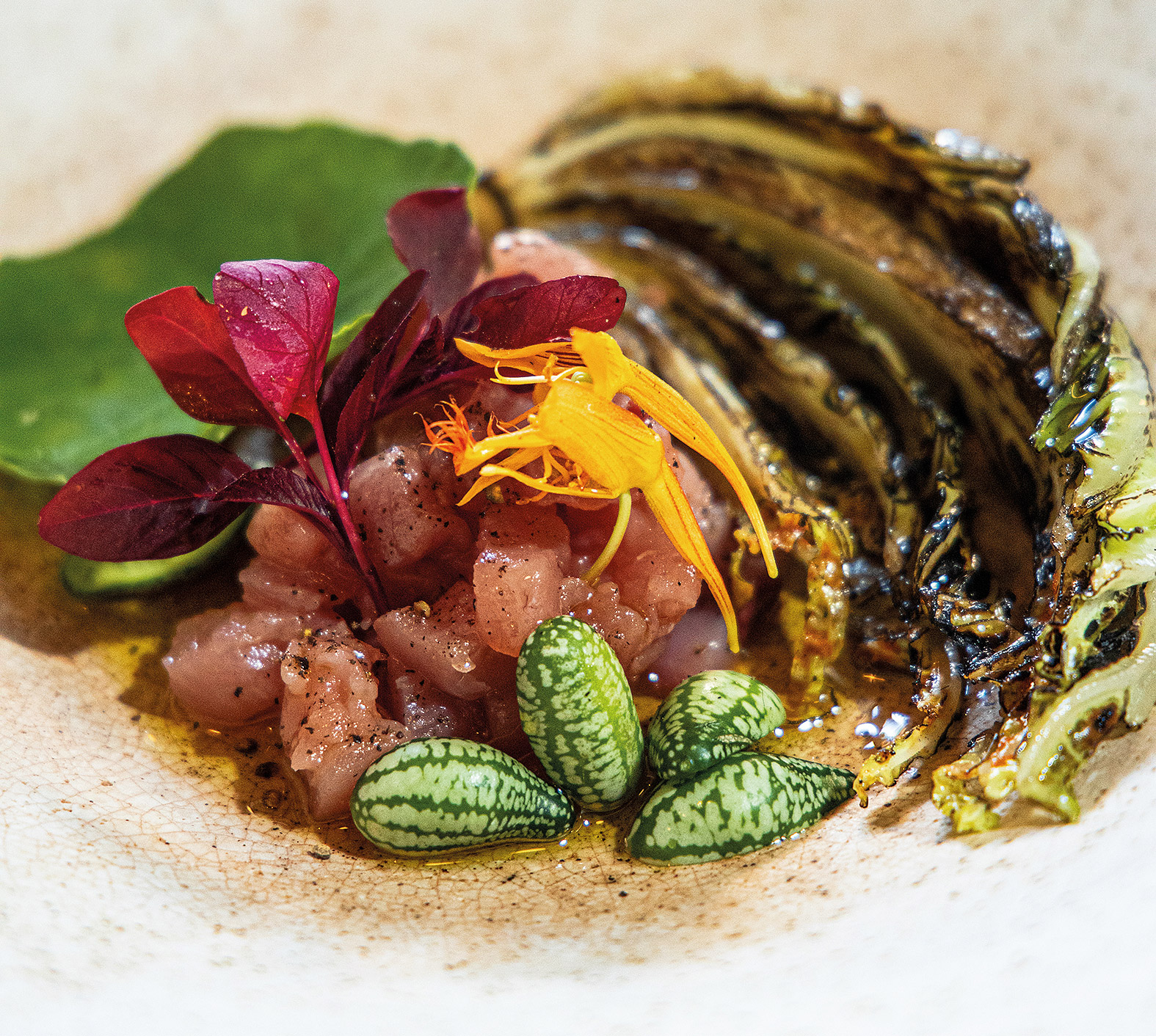 Η Μούργα παραμένει ένας πολύ καλός λόγος για να πάτε στη Θεσσαλονίκη-1