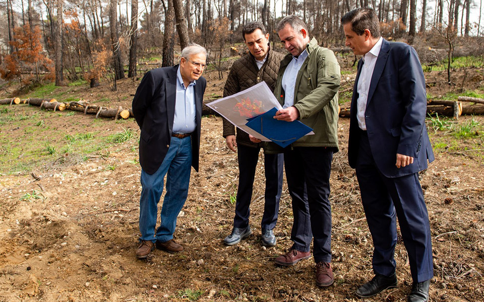μεταπυρική-αποκατάσταση-στη-βαρυμπό-561800242