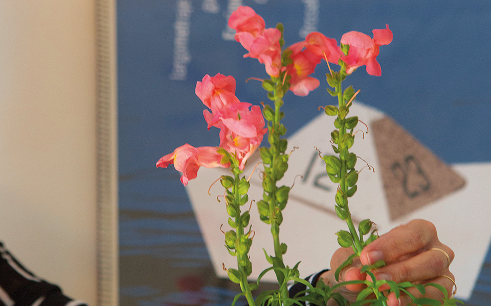 σκυλάκιτου-κήπου-561788848