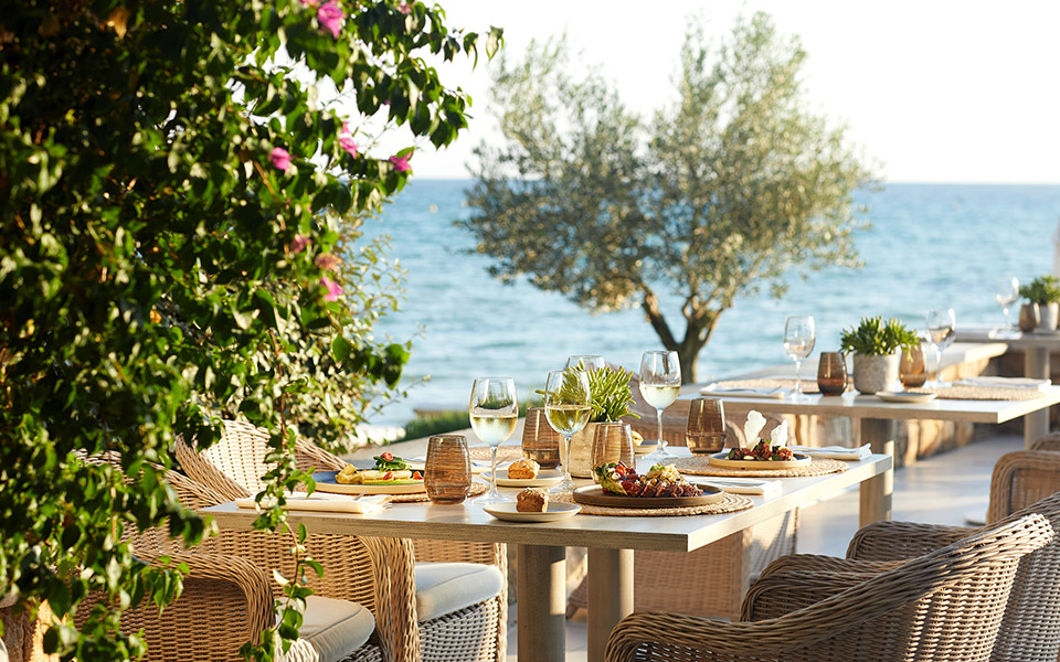 η-τέχνη-της-υψηλής-γαστρονομίας-ξεδιπ-561828025